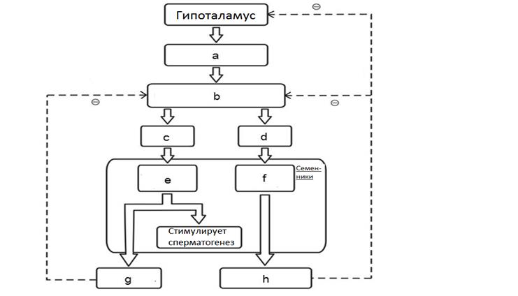 В результате через 30 мин темнового режима листочки либо были открытыми, либо закрывались, как показано на рисунке - student2.ru