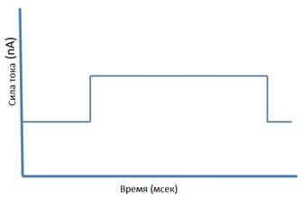 В результате через 30 мин темнового режима листочки либо были открытыми, либо закрывались, как показано на рисунке - student2.ru