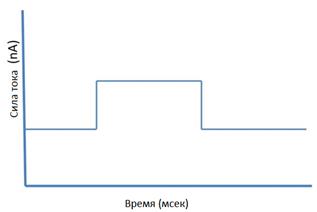 В результате через 30 мин темнового режима листочки либо были открытыми, либо закрывались, как показано на рисунке - student2.ru