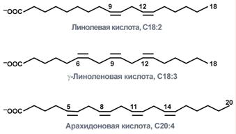 Витамин F (полиненасыщенные жирные кислоты) - student2.ru