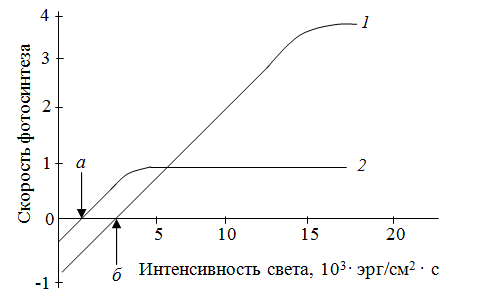 Влияние внешних и внутренних факторов на интенсивность фотосинтеза - student2.ru