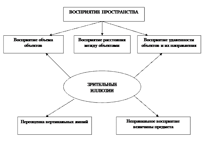 Восприятие, его виды и свойства - student2.ru