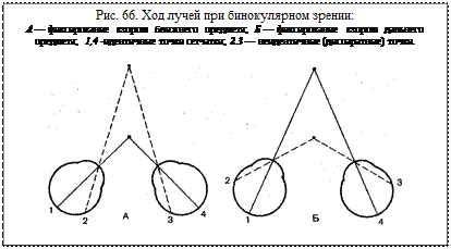 Восприятие пространства: острота зрения, поле зрения, бинокулярное зрение - student2.ru