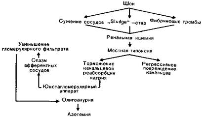 Введение воды и электролитов внутрь - student2.ru