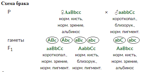 Выяснение доминантности или рецессивности признаков - student2.ru