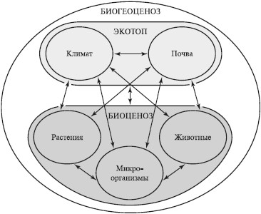 Взаимоотношения организмов. Биотические факторы среды - student2.ru