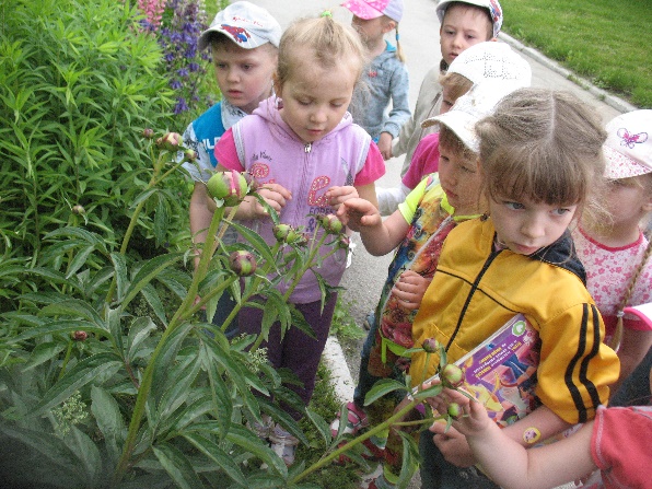 Экскурсия по территории детского сада - student2.ru