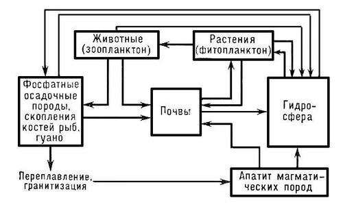 Экзаменационные билеты по экологии - student2.ru