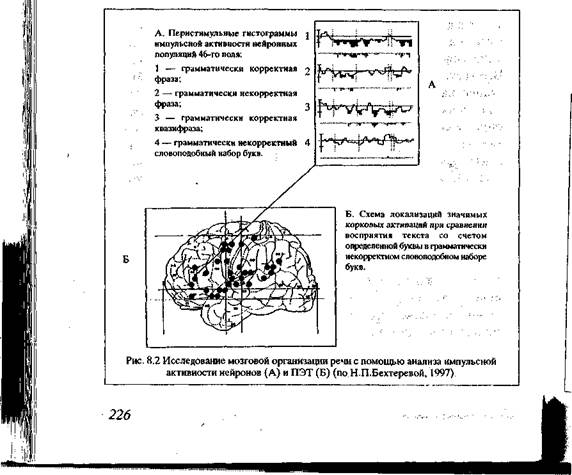 Электрофизиологические корреляты речевых процессов - student2.ru