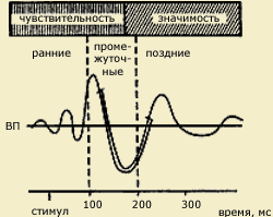 Электроэнцефалографические исследования восприятия - student2.ru