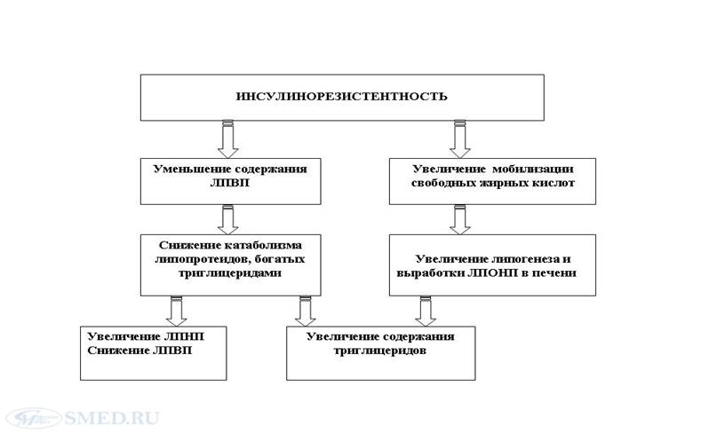Эпидемиология метаболического синдрома - student2.ru