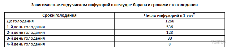 этапы энергетического обмена - student2.ru