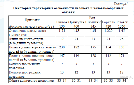 этапы энергетического обмена - student2.ru