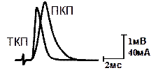 Задача 2. Определение временных и амплитудных параметров вызванных ПКП в норме и под действием физиологически активных веществ - student2.ru