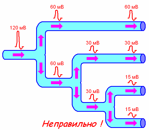 Законы проведения возбуждения в нервных волокнах - student2.ru