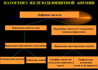 ЖДА. Определение. Классификация. Причины. Сидеропенический синдром. Лабораторные критерии диагностики ЖДА. Принципы лечения. Профилактика - student2.ru
