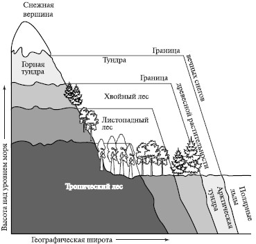 Зональность и секторность географической оболочки. - student2.ru