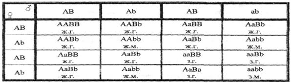 Дигибридное и полигибридное скрещивание. - student2.ru