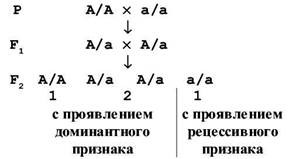 Генетическая символика - student2.ru