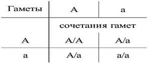 Генетическая символика - student2.ru