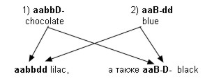 генетика кошек может быть легкой - student2.ru