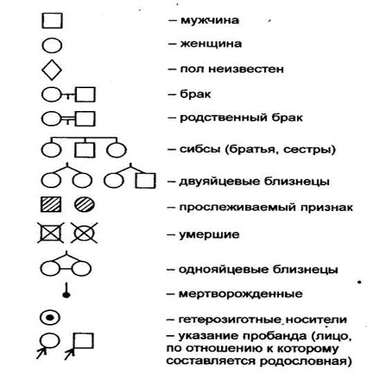 человек как объект генетических исследований - student2.ru