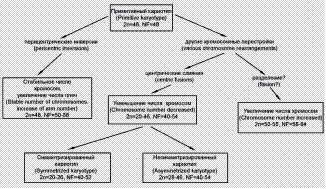 Лекция 2. Тема: Цитогенетика и материальные основы наследственности. - student2.ru