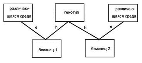 метод контрольного близнеца - student2.ru