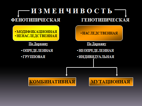 модификационная (ненаследственная) изменчивость - student2.ru