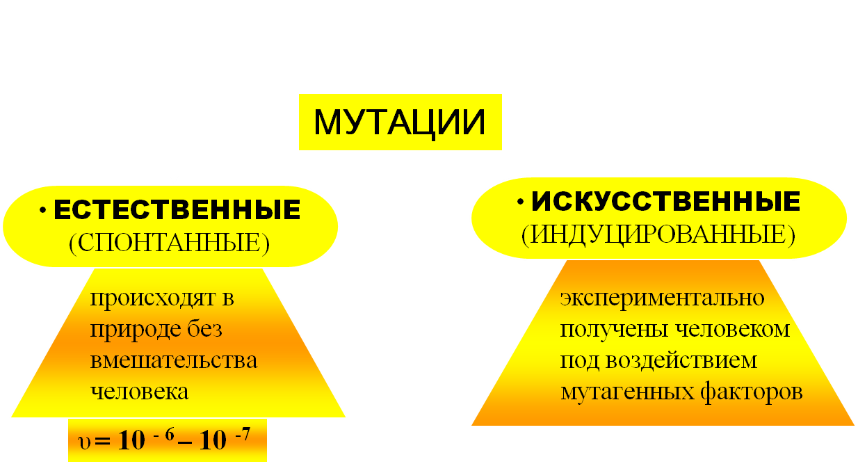 Значение спонтанных мутаций в том что. Естественные и искусственные мутации. Спонтанные и индуцированные мутации. Естественные мутации примеры. Спонтанные и индуцированные мутации это мутации.