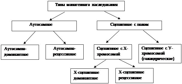 основные закономерности наследования. - student2.ru