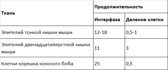 Особенности полового размножения - student2.ru