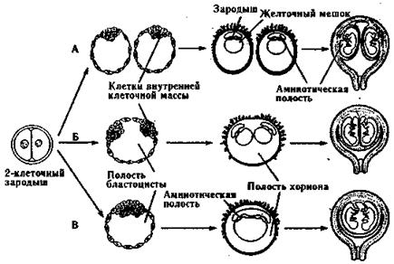 По подготовке к зачетному занятию - student2.ru