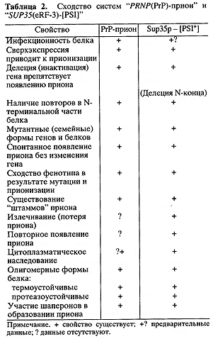 сходство прионов млекопитающих и дрожжей - student2.ru