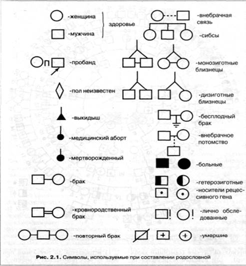 составление родословной - student2.ru