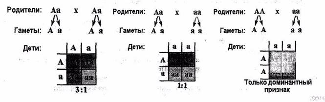 Свойства генетического кода. - student2.ru