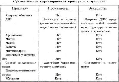 Вопрос №2. Клетка – миниатюрная биосистема - student2.ru