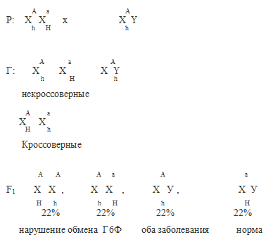 Явления сцепления генов. Кроссинговер - student2.ru