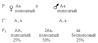 Задачи по генетике на неполное и полное доминирование - student2.ru