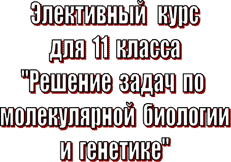 Задачи по молекулярной биологии - student2.ru