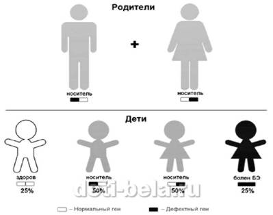 Закон единообразия гибридов первого поколения (первый закон Менделя) - student2.ru