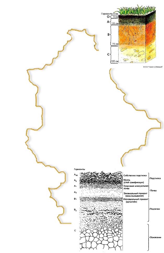 Анализ закономерностей распространения почв на территории Донецкого края - student2.ru