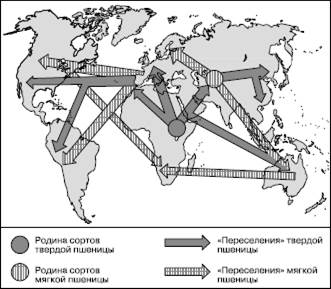 Центры происхождения культурных растений и домашних животных и их дальнейшие миграции - student2.ru