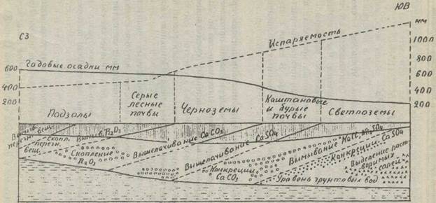 Число видов различных типов животного царства (по Р. Мею, 1988) - student2.ru