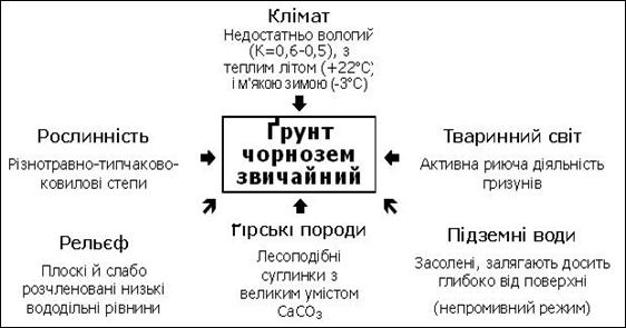 Дайте визначення понять: “ґрунт”, “грунтоутворення”, “вертикальна структура ґрунтів”. За якими ознаками проводиться класифікація грунтів? - student2.ru