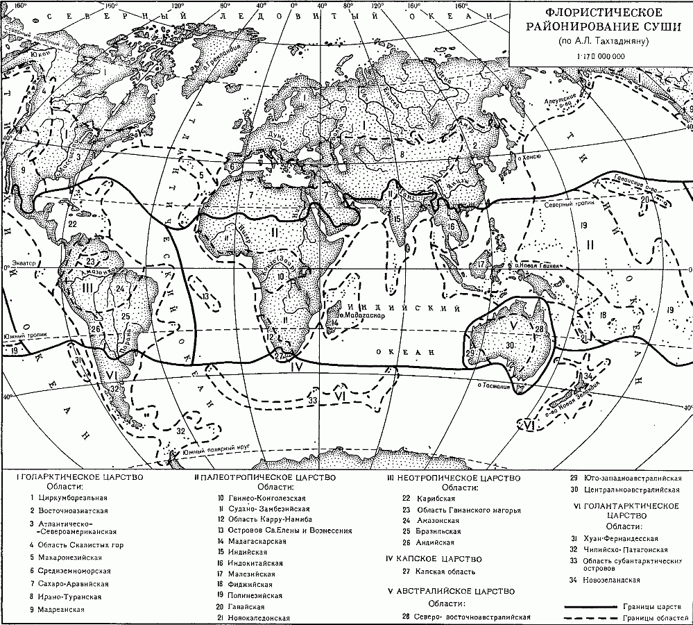Флора и растительность. Флористическое районирование суши - student2.ru