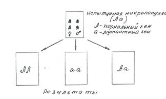 Формы естественного отбора. - student2.ru