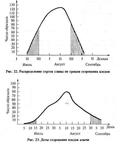 генетический фонд плодовых и ягодных растений - student2.ru