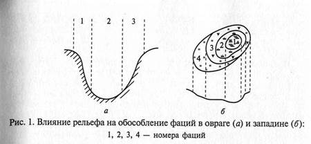 Географическая оболочка и природные территориальные комплексы - student2.ru