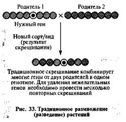 глава 17 генетическая трансформация - student2.ru